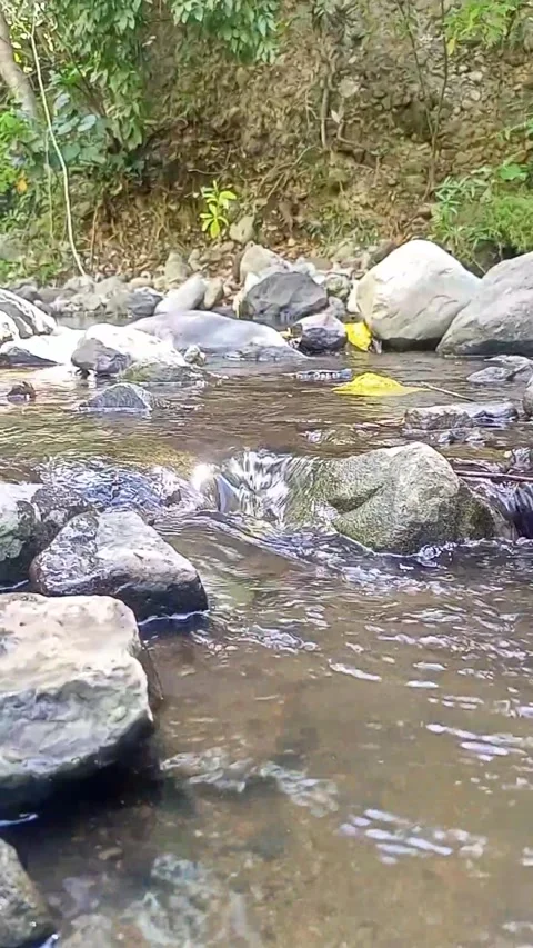 Small water flow 29 Stock Footage 207979413