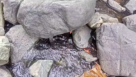 Small water flow 5 Stock Footage 207970312