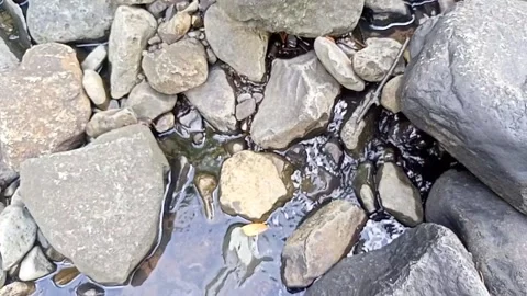 Small water flow 7 Stock Footage 207970543