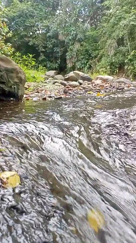 Small water flow 9 Video stock 207971805