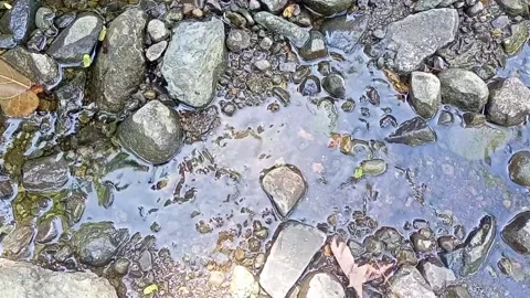 Small water flow bends on the rocks 6 Video stock 208270390