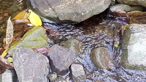 Small water flow bends on the rocks 9 Stock Footage 208270984