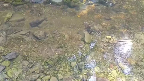 Small water flow bends on the rocks 12 Stock Footage 208271167