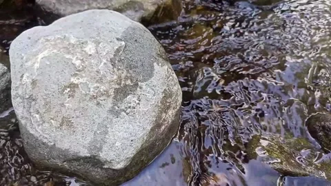 Small water flow bends on the rocks 13 Stock Footage 208271171