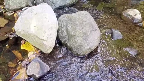 Small water flow bends on the rocks 15 Stock Footage 208272960
