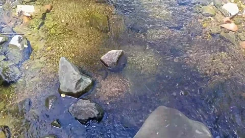 Small water flow bends on the rocks 18 Stock Footage 208273326