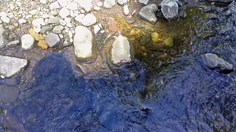 Small water flow bends on the rocks 19 Stock Footage 208273330