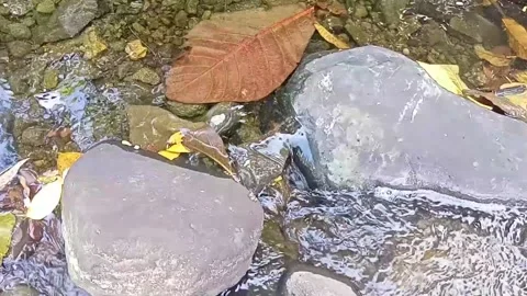 Small water flow bends on the rocks 21 Stock Footage 208273445