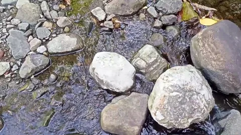 Small water flow bends on the rocks 22 Stock Footage 208273524