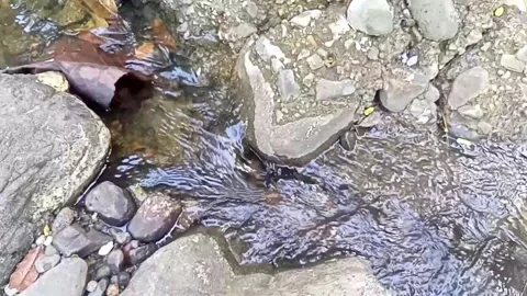 Small water flow bends on the rocks 24 Stock Footage 208274333