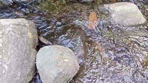 Small water flow bends on the rocks 25 Stock Footage 208274334