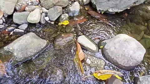 Small water flow bends on the rocks 27 Stock Footage 208274337