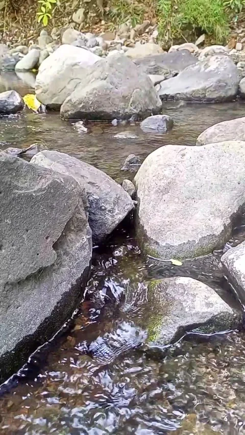 Small water flow Stock Footage 207980726