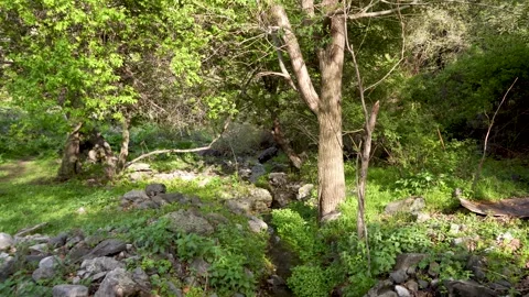 A small water flow in a mountain Stock Footage 245895324