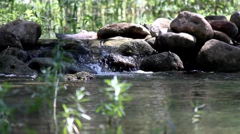 Small water flow over rocks Stock Footage 41121657