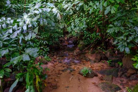 Small water flow Stock Photos