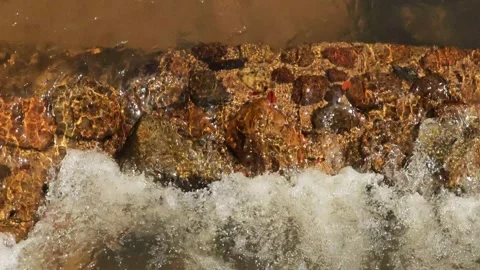 Small water flowing, fresh stream of water on the forest. Stock Footage 305366396