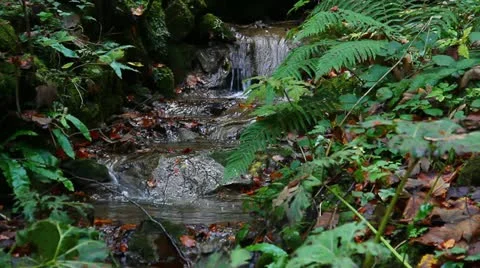 Small water Stock Footage