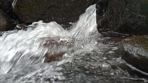 Small Water Rapids Flowing Over Rocks in Tropical Forest Stock Footage 330517314