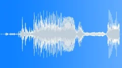 Small water splashSound Effect