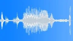 Small water splashSound Effect
