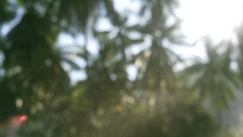 Small water splashes from the sprinkler and palm grove blurred with sunshine. Stock Footage 107515607