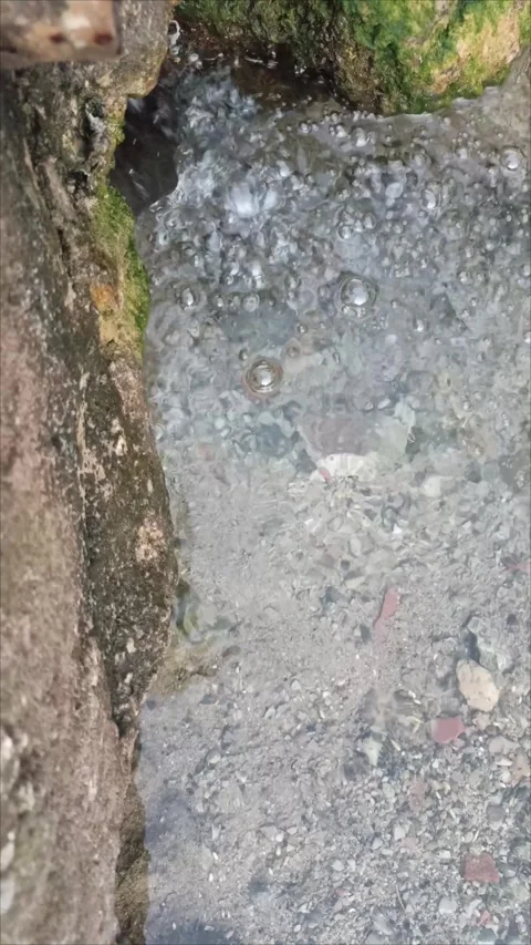 Small Water Spring Flowing Over Mossy and Rocky Ground 動画素材 338336570