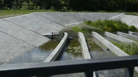 A Small Water Storage Dam Stock Footage 64960311