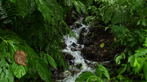 Small water stream cascade over the rocks. Real time 4K Footage Stock Footage 305885617