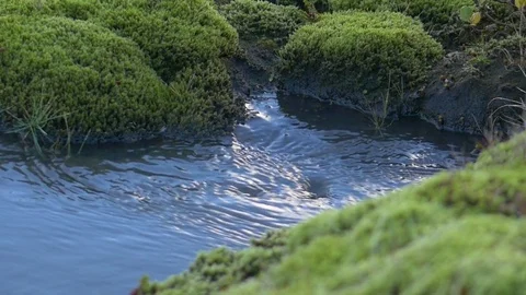 Small water stream creating a soft whirlpool at the end Stock Footage 74906176