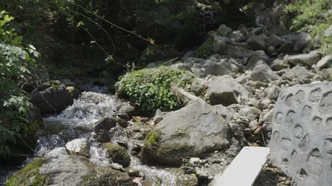 Small water stream flowing through rocks inside dense forest. Video stock 280250825