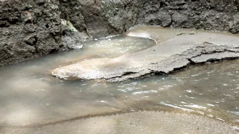 Small water stream flowing through mud and rocks in rural area 3 Stock Footage 336799021