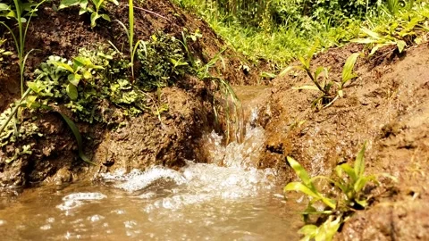 Small water stream flowing through mud and rocks in rural area 2 Stock Footage 336799037