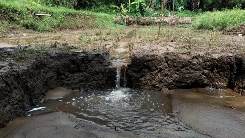 Small water stream flowing through mud and rocks in rural area Stock Footage 336799220