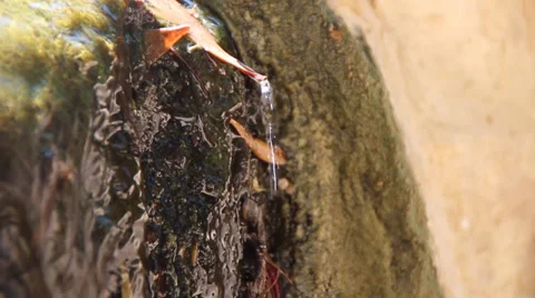 Small water stream Vídeos de archivo 38649278