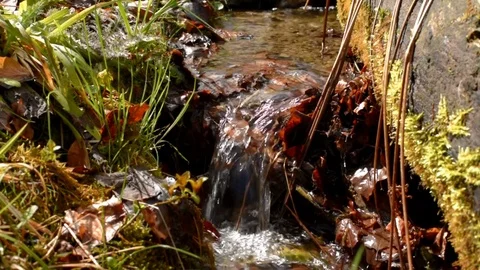 Small water stream Stock Footage 75862084