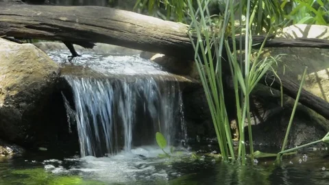 Small Water Stream Stock Footage 106240670