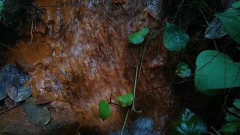 Small water stream in the forest Video stock 143910013