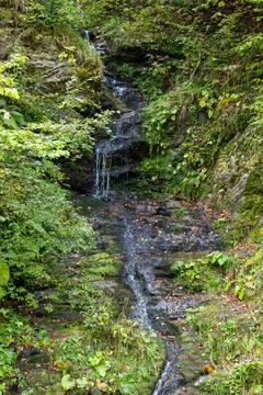 Small water stream running down the hill somewhere in Transylvania, Romania Stock Photos