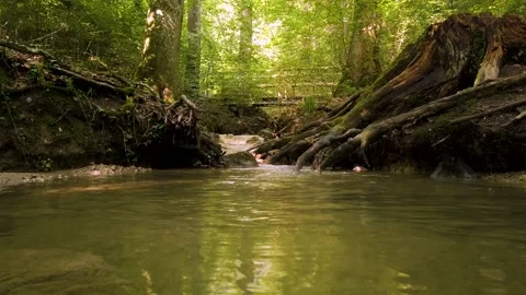 Small water stream running under a wooden bridge in a forest daytime, summer Stock Footage 157551475