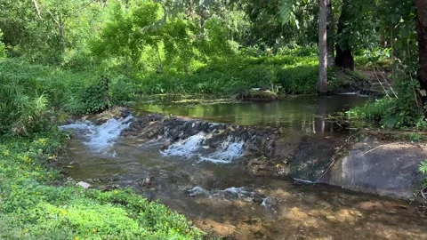 Small water stream.Small streams occur naturally.Small streams exist naturally. Stock Footage 278331302