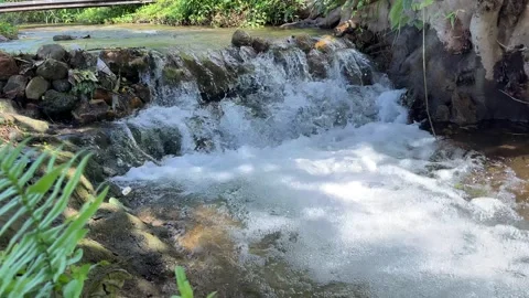Small water stream.Small streams occur naturally.Small streams exist naturally. Stock Footage 278331322