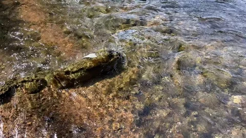 Small water stream.Small streams occur naturally.Small streams exist naturally. Stock Footage 278331352
