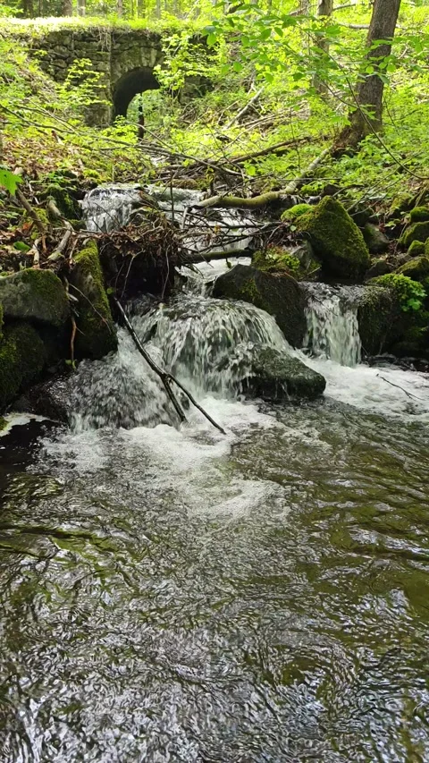 Small water under bridge Stock Footage 274451807