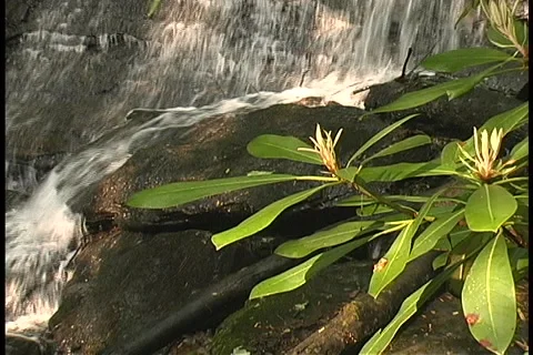 Small Waterfall 1 Video stock 1037621