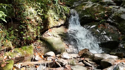 Small Waterfall 3 Vídeo Stock 97273090