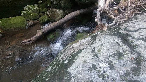 Small Waterfall From Above - Hazel River Shenandoah Vidéo 119200819