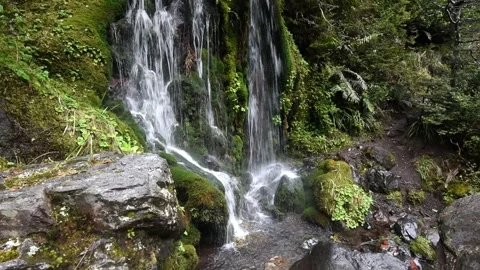 Small waterfall against a moss-covered rock wall. Stock Footage 255688666