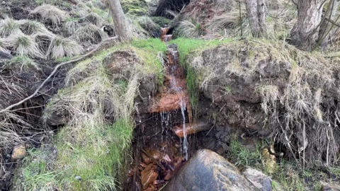 A small waterfall among rocks and grass. Stock Footage 306322795