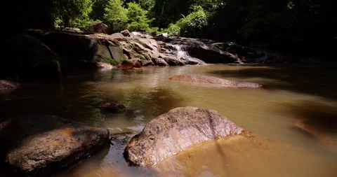 Small waterfall and brown pond in tropical rainforest at Tioman, tilt down shot Stock Footage 314769469
